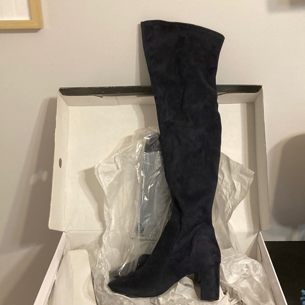 Brand New Thigh High boots